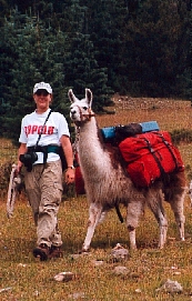 Llamas make great hiking companions