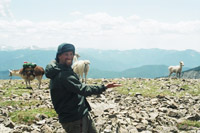 Stuart and the Bighorns