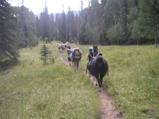 Llama Trekking Day Hikes in Taos and Santa Fe